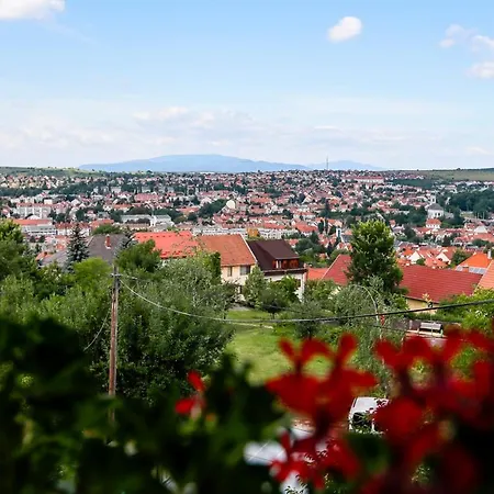 Pajdos Apartman *